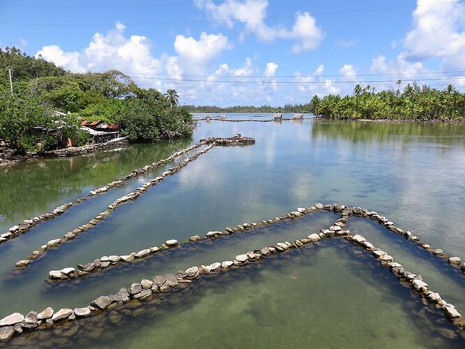 DE RETOUR D'UN MOIS EN POLYNESIE - tontonvin