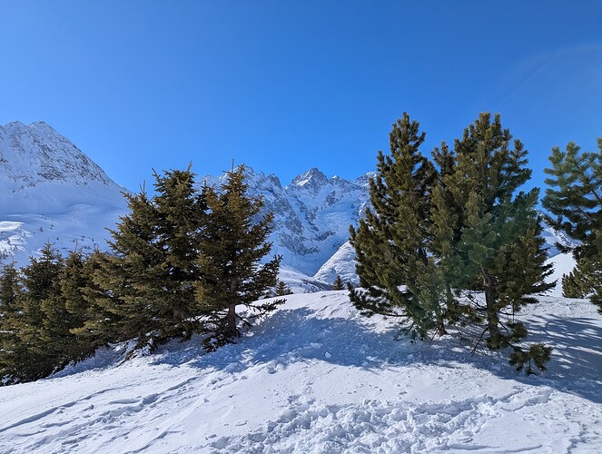 PXL_20250215_114615379_1