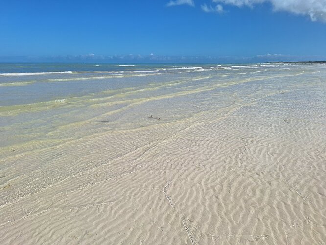 MEXIQUE Isla Holbox (14)