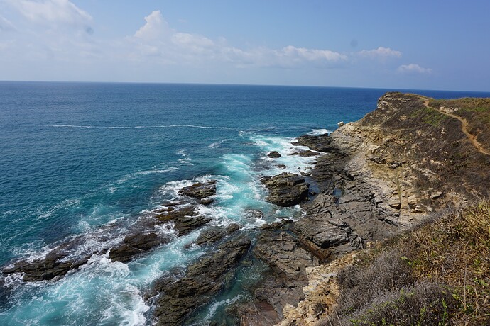 DSC01781
