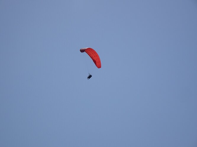 DSC03598_1
