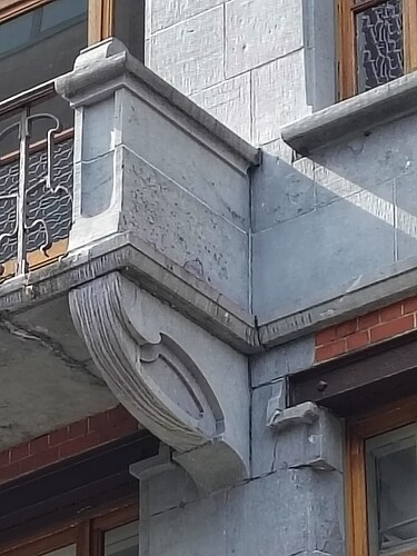1000029310