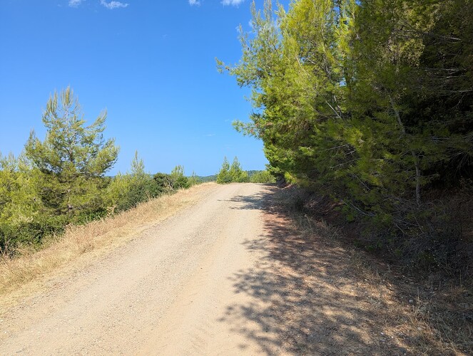 PXL_20250817_072203473_1