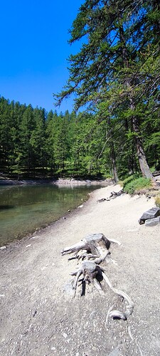 IMG_20250811_124533
