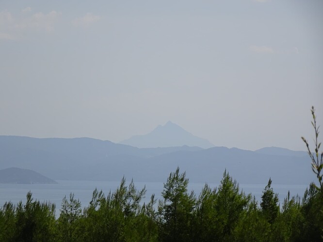 DSC04500_1