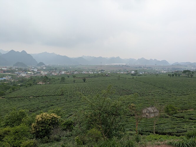 PXL_20250428_044114832