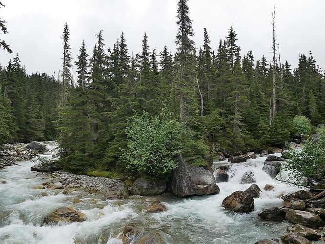 L'Ouest canadien à pleins poumons: épisode 1, les Rocheuses et la chaîne Alberta - fabienne65