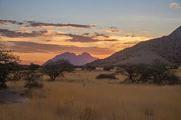 _NZ60983