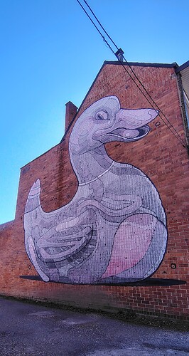 IMG_20260302_121012280_HDR