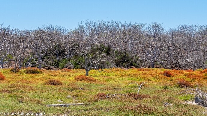 12 jours aux Îles Galápagos en autonomie, c'est vraiment merveilleux! - un-tuk-tuk-pour-deux