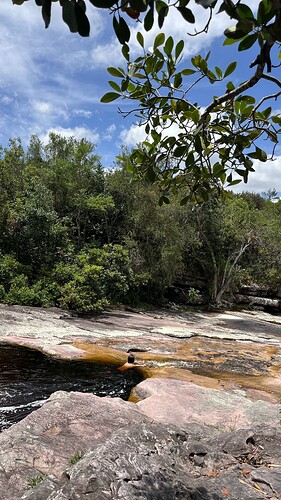 IMG_3498