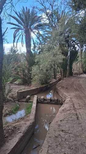 IMG-20260320-WA0044