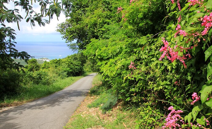 La route vers le ... Paradis !
