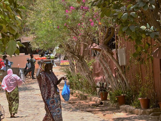 Visages et instantanés du Sénégal, Saint Louis et ses environs ... - fabienne65