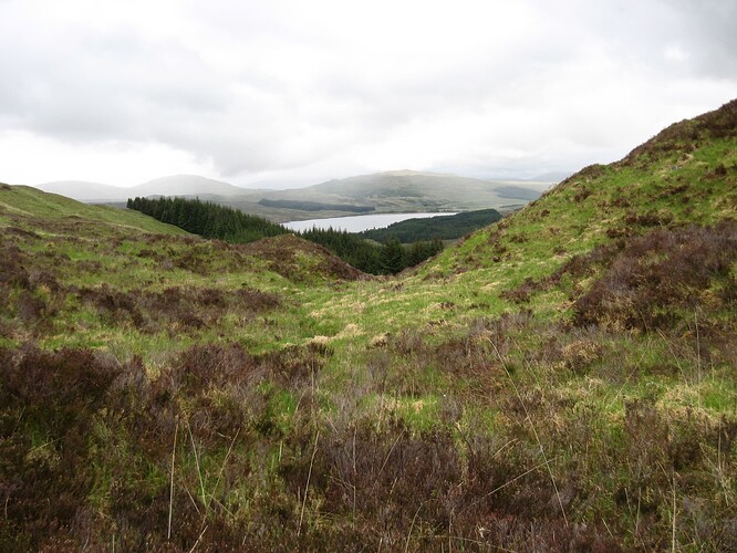 tourbière pentue  WHW entre bridge of Orchy et Rannoch moor