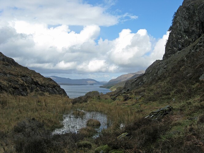 Ecosse (316)1