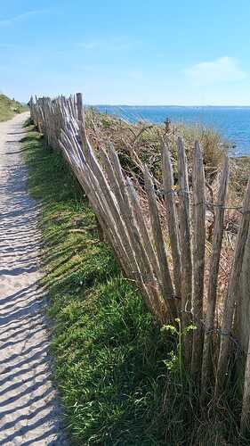 IMG-20250728-WA0022