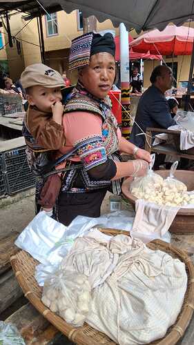 IMG-20251031-WA0055