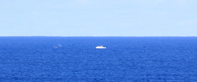 Le souffle d'une baleine ! à gauche du bateau