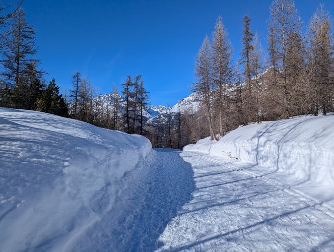PXL_20260226_144932069_1