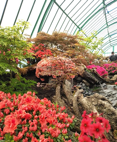 IMG_20250501_104328873_HDR
