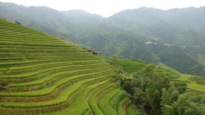 Voyage en Chine : Yangshuo – Dazhai – Fenghuang – Dehang – Zhangjiajie – Beijing – Huashan – Chengdu – Shunan zhuhai – Leshan – Emeishan (Première partie) - Meli Voyage en Chine : Yangshuo – Dazhai – Fenghuang – Dehang – Zhangjiajie – Beijing – Huashan – Chengdu – Shunan zhuhai – Leshan – Emeishan (Première partie) - Meli