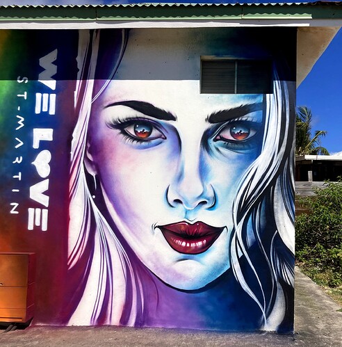 0 Sxm Fresque BO