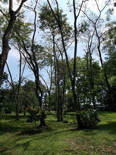 En passant par Palenque - 3 jours de camping au Chiapas (Mexique) - Aymee