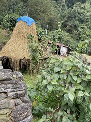IMG_8325