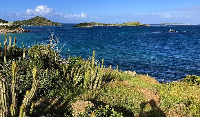 L'îlet Pinel depuis la côte