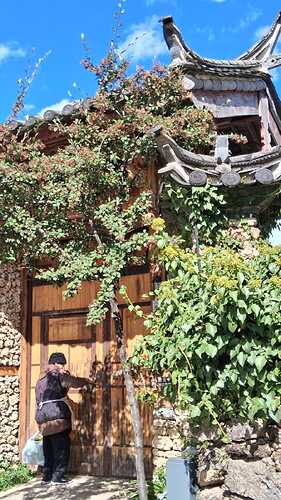 IMG-20251205-WA0003