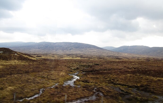 Ecosse 2013 489