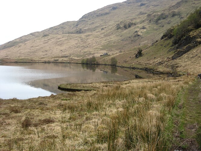 Ecosse (114)