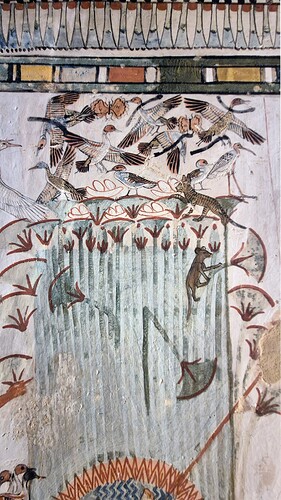 20260422_102245 RECADRÉE CHASSE AUX CANARDS