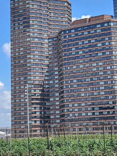 IMG_20250619_113644998_HDR
