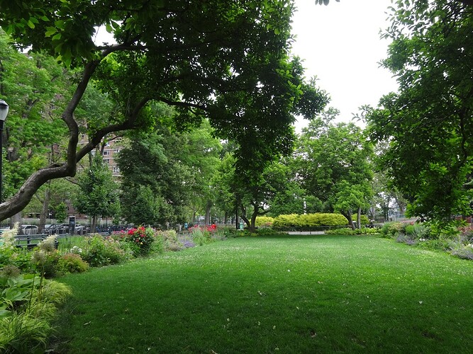 DSC00724