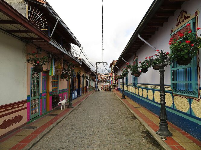 Carnet de voyage en Colombie (2/3) : Medellin et la vallée du Quindio  - Kikisbackpackingtour