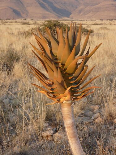 P1140396