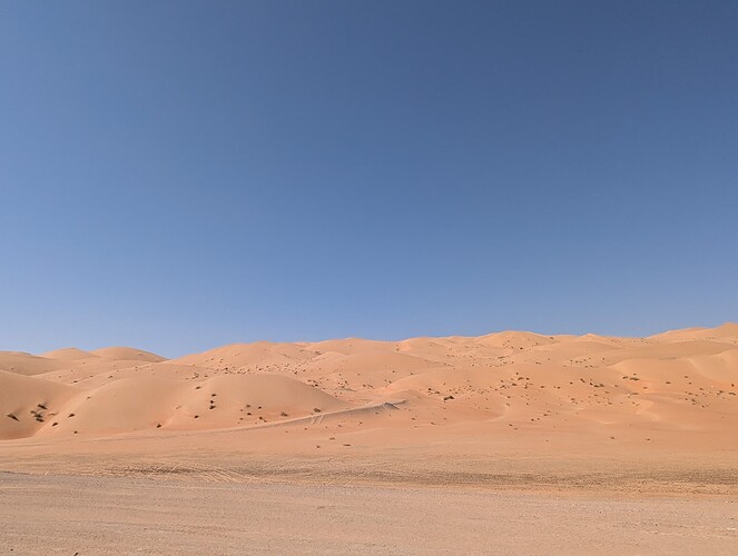 PXL_20250417_051758343_1