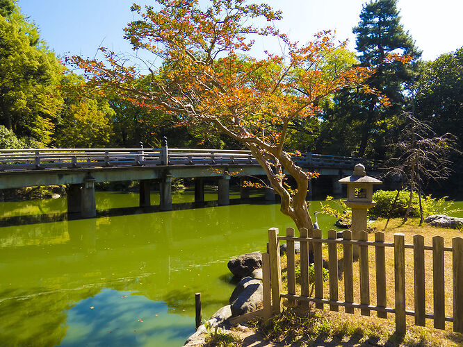 recapitulatif de 30 jours au japon en octobre - sostressed