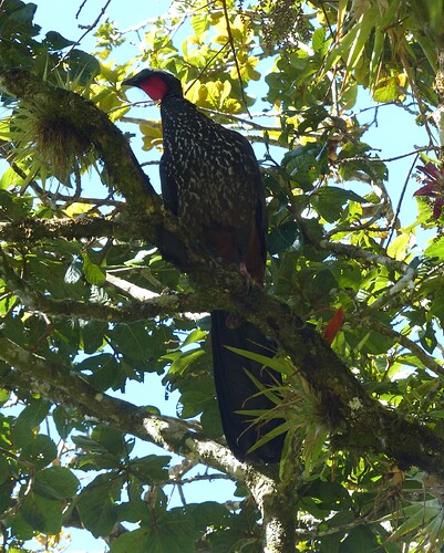 P1460053x