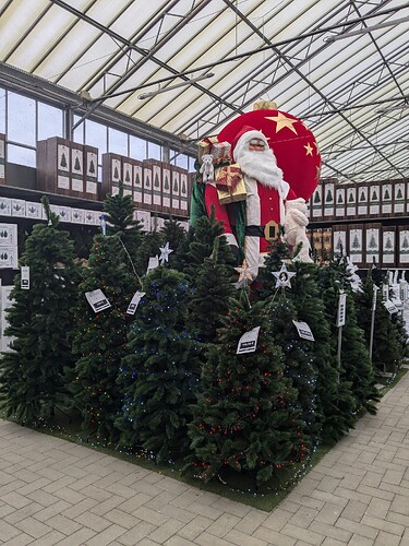 PXL_20241110_094814221_1