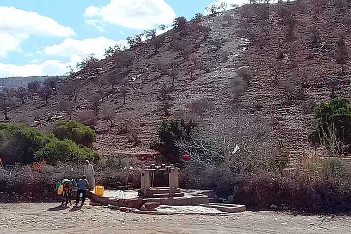 IMG-20250416-WA0003