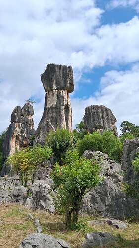 IMG-20251106-WA0004