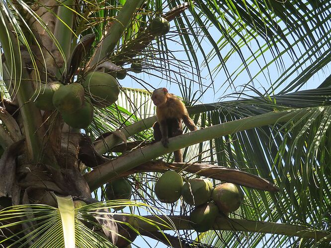 Carnet de voyage en Colombie (3/3) : la côte Caraïbes - Kikisbackpackingtour Carnet de voyage en Colombie (3/3) : la côte Caraïbes - Kikisbackpackingtour