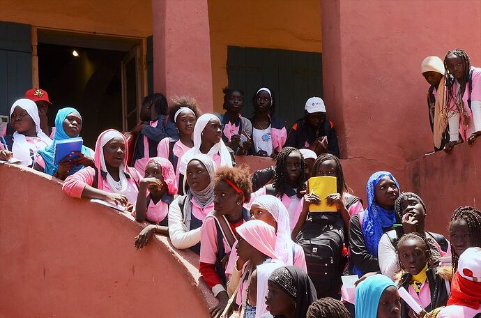 Visages et instantanés du Sénégal, Saint Louis et ses environs ... - fabienne65