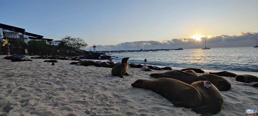 Îles Galápagos