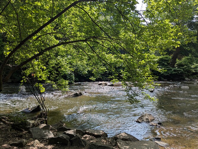 PXL_20250609_142907025