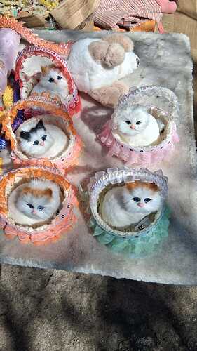 IMG-20251121-WA0006