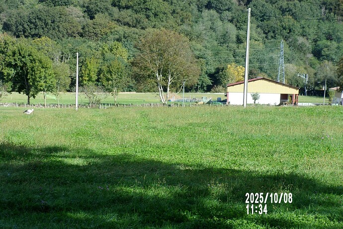 104_8367